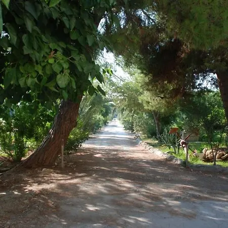 Apartment Punta Milocca Sleeps 2 Wifi T764405 *